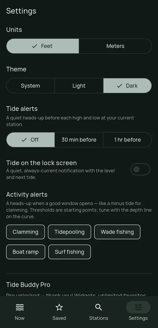 Tide Buddy's Settings screen: units, theme, tide alerts, lock-screen tide, and activity alerts for clamming, tidepooling, wade fishing, boat ramp and surf fishing.